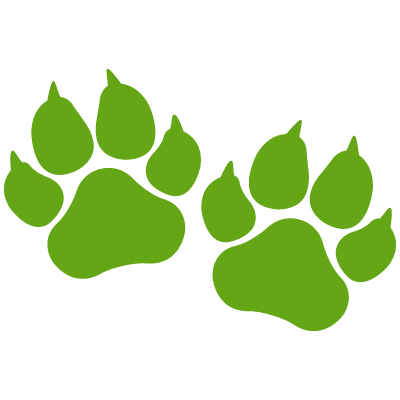 Voted 2 Paws Up - 2 Paw Print Illustration