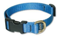 Quick release collar and name tag requirement