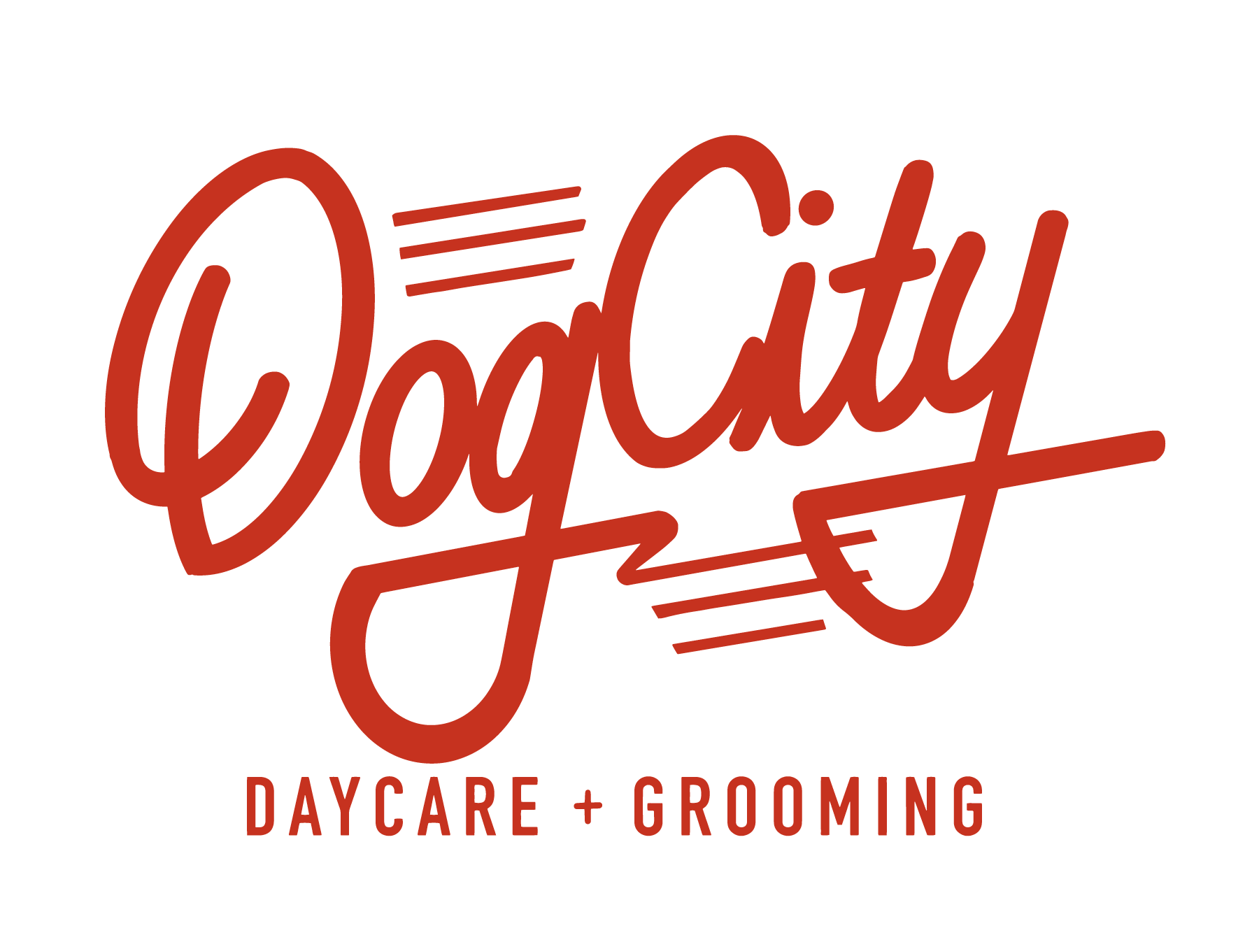 Dog City Seattle - Daycare + Grooming - Business Logo