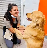 Dogcity West Seattle