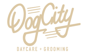 Dog City Logo