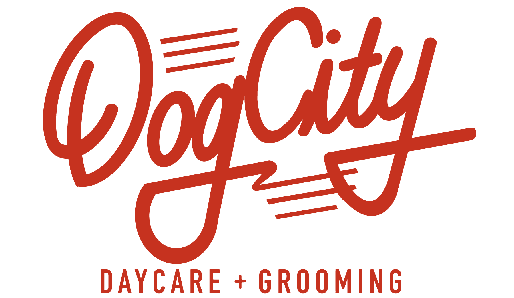 Dog City Seattle - Daycare + Grooming - Business Logo