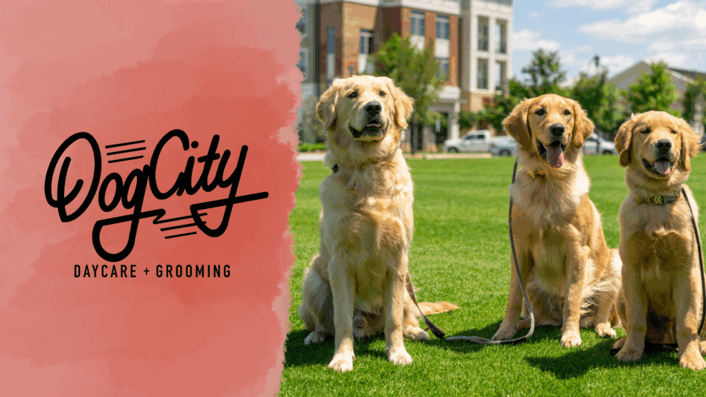 5 Tips from DogCity on first time pet ownership