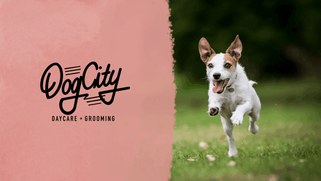 DogCity dog banner for blog post about dogs exercising!